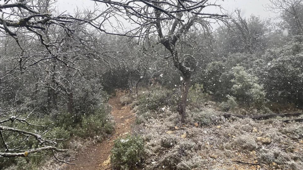 Primeras nieves // Foto: Facebook Ayuntamiento de Alcoy