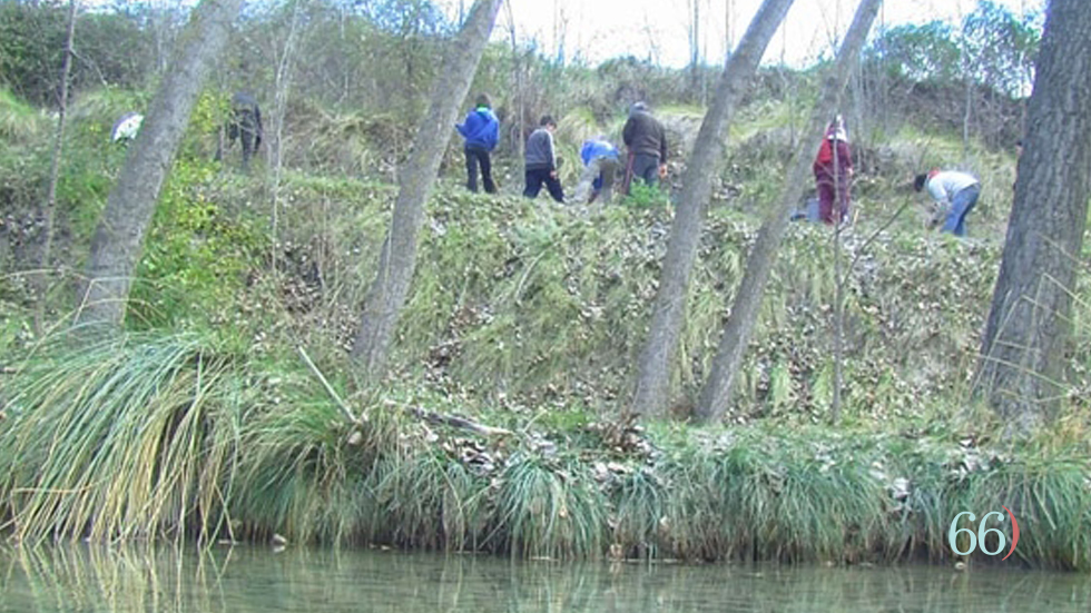 Foto: Arxiu Pàgina66)