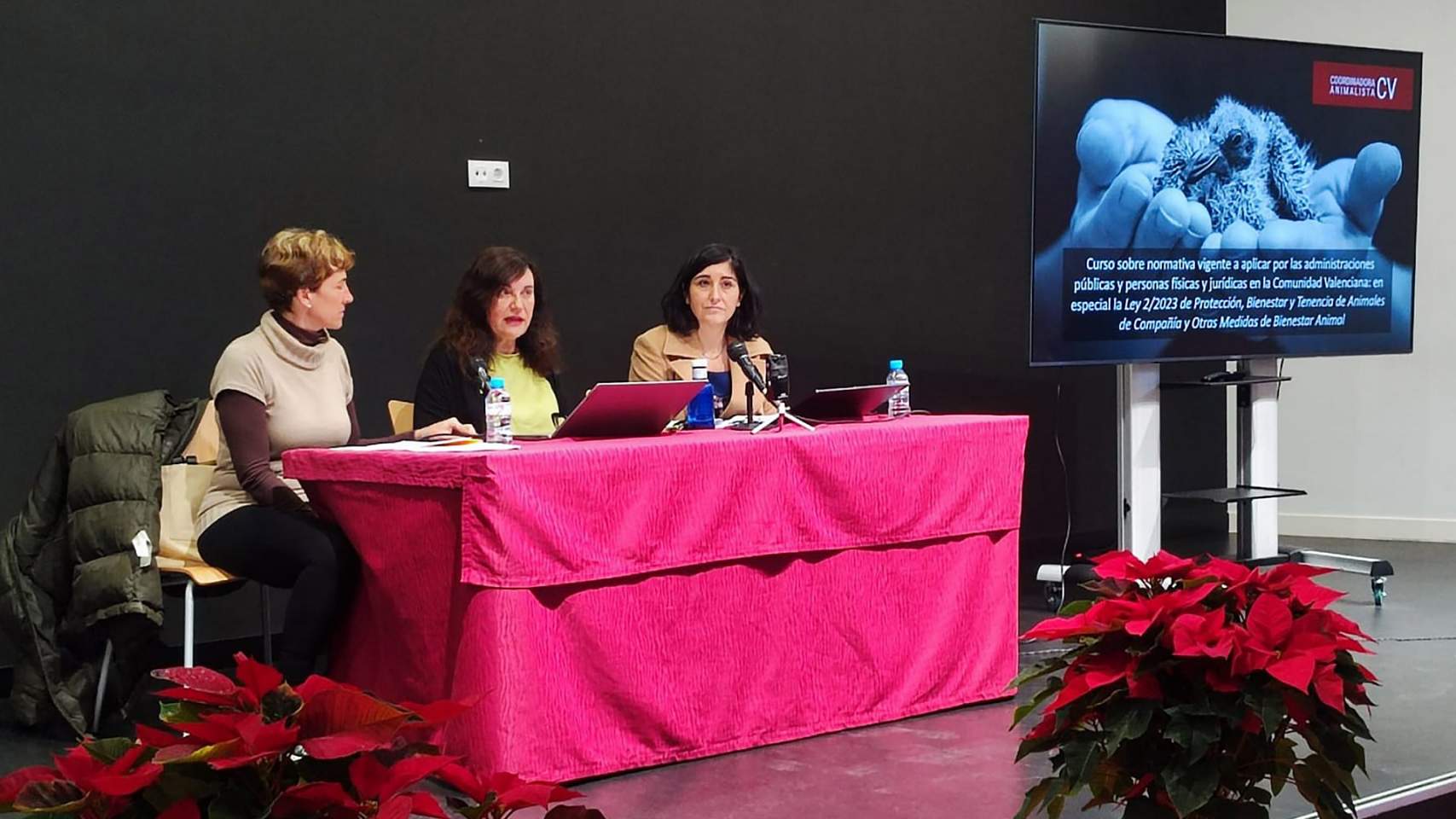 Curs que s'impartirà a Cocentaina