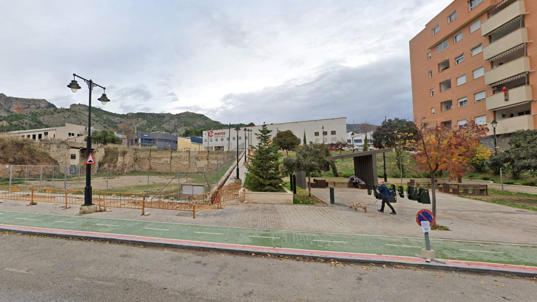 Avenida Carmen Vidal