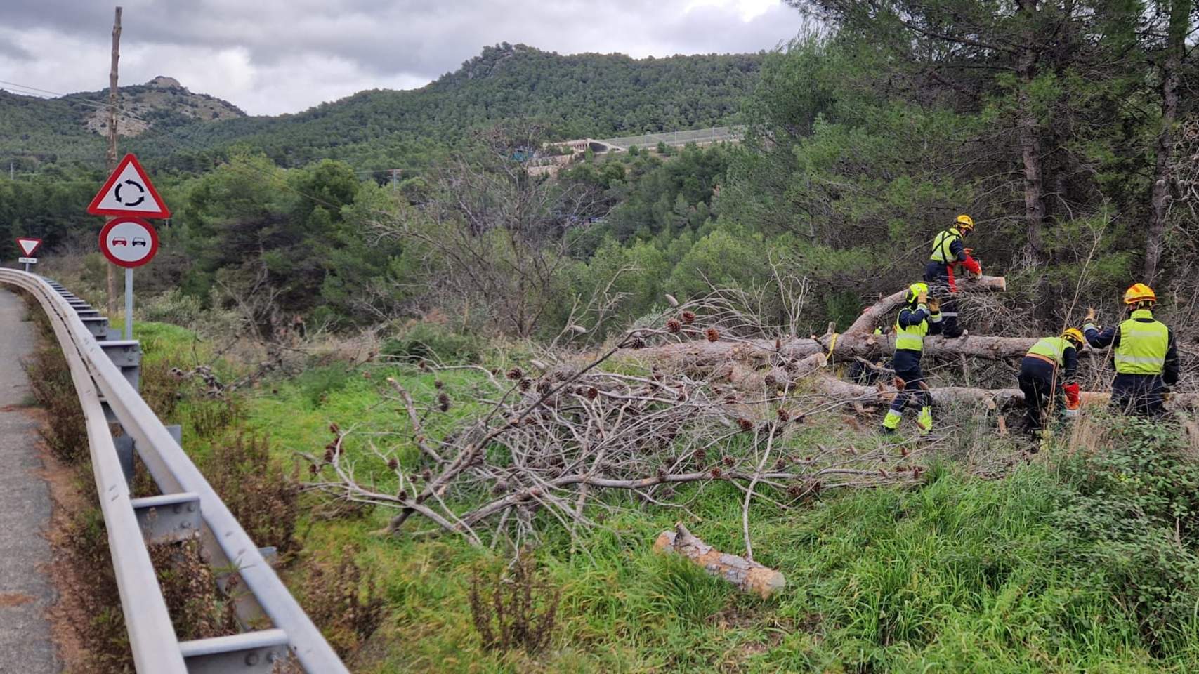 Retirada del pi per part dels bombers