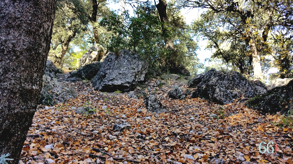 Font Roja en otoño
