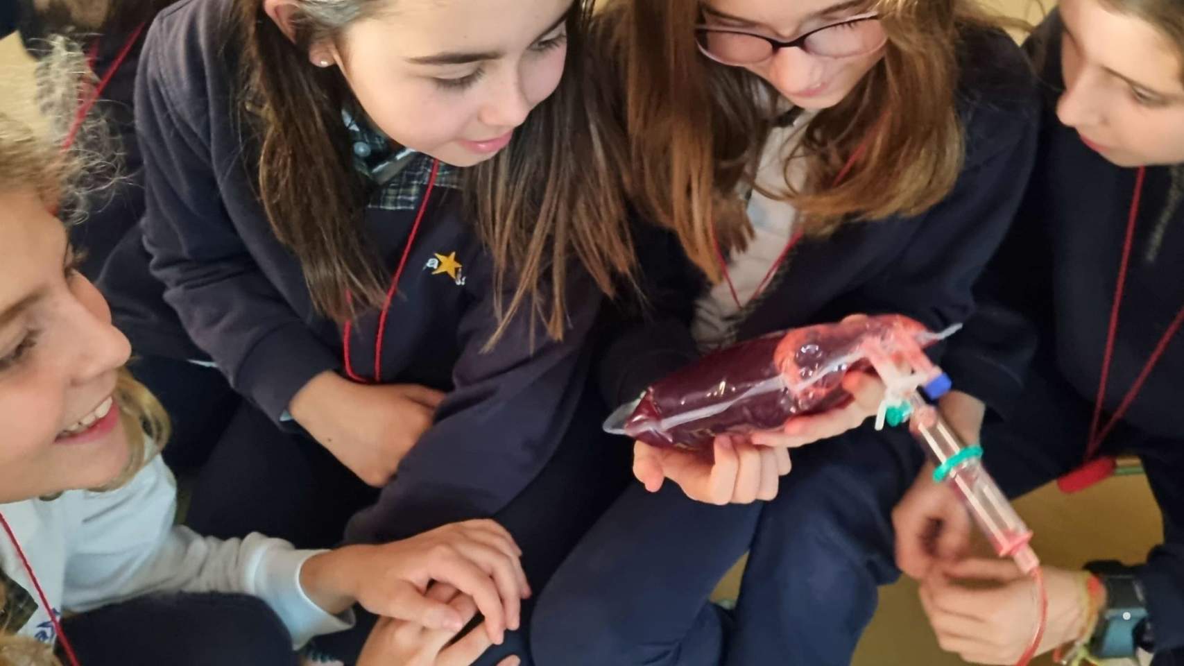 La sang, el tema central del projecte / Foto LSA