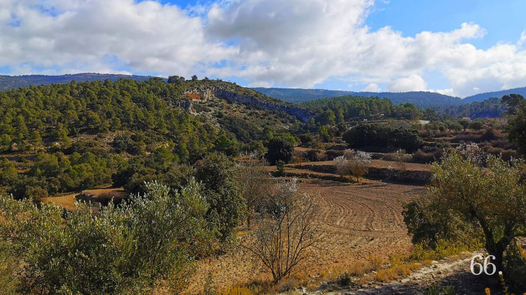 “Ja ens ha fet perdre més de 30 anys”: crítica frontal de La Carrasca al parc industrial Alcoi Sud en La Canal