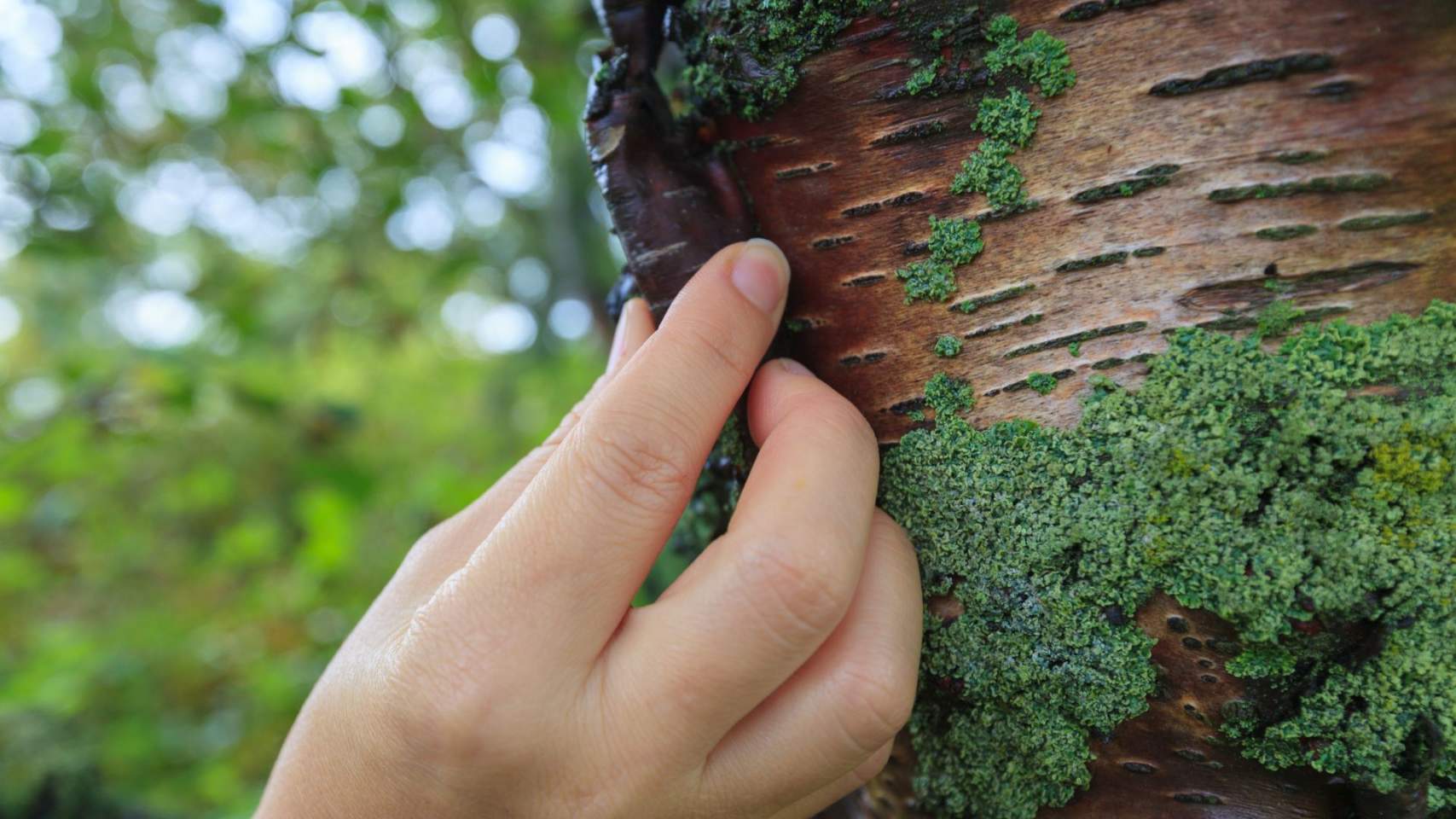 Reeducaci&oacute; sensorial amb textures / Foto: CNV