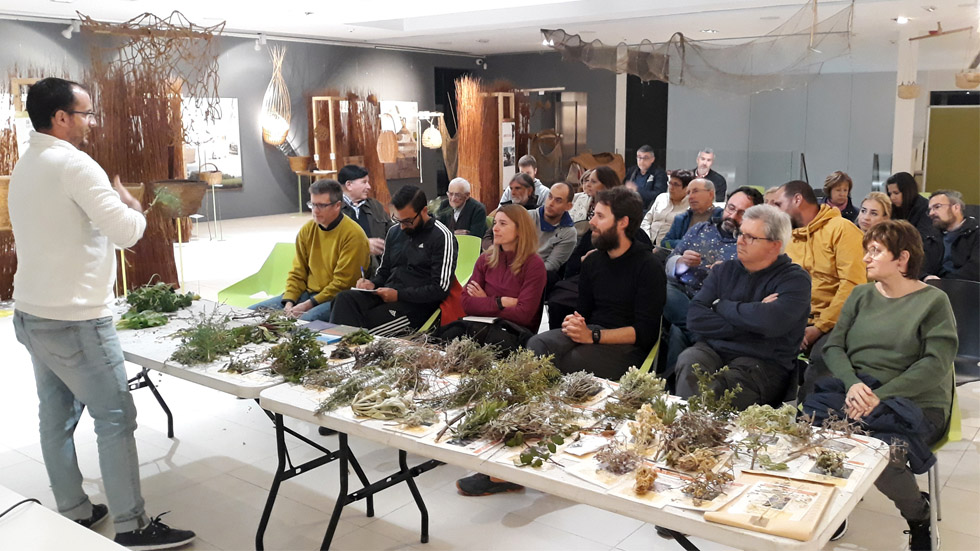 Imatge de la conferència sobre les plantes