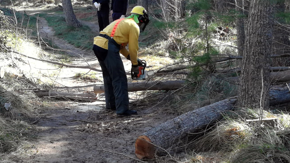 Trabajos de los Bomberos Forestales