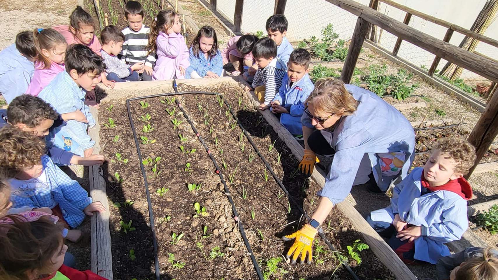 Hort escolar en Horta Major