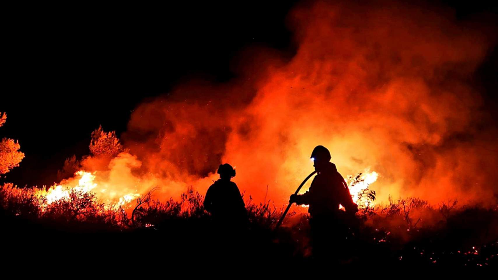 Incendi en la Vall d'Ebo / Foto: Acif