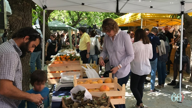 Mercat Tradicional de Benilloba