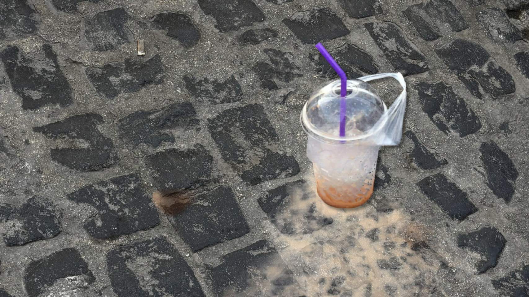 Got abandonat en els adoquins / Foto: MRG