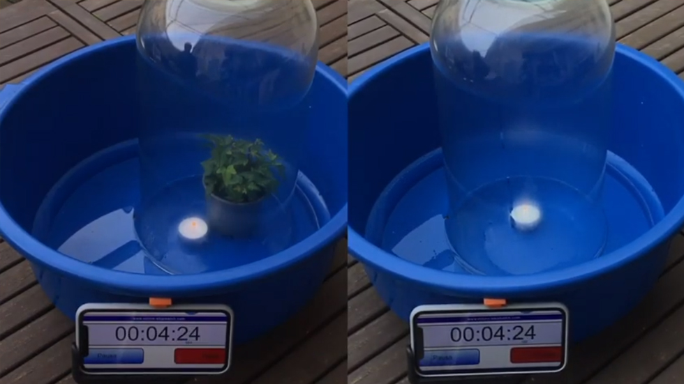 Experiment guanyador de 'Ciencia y Acción' de La Salle Alcoi  // Foto: LSA