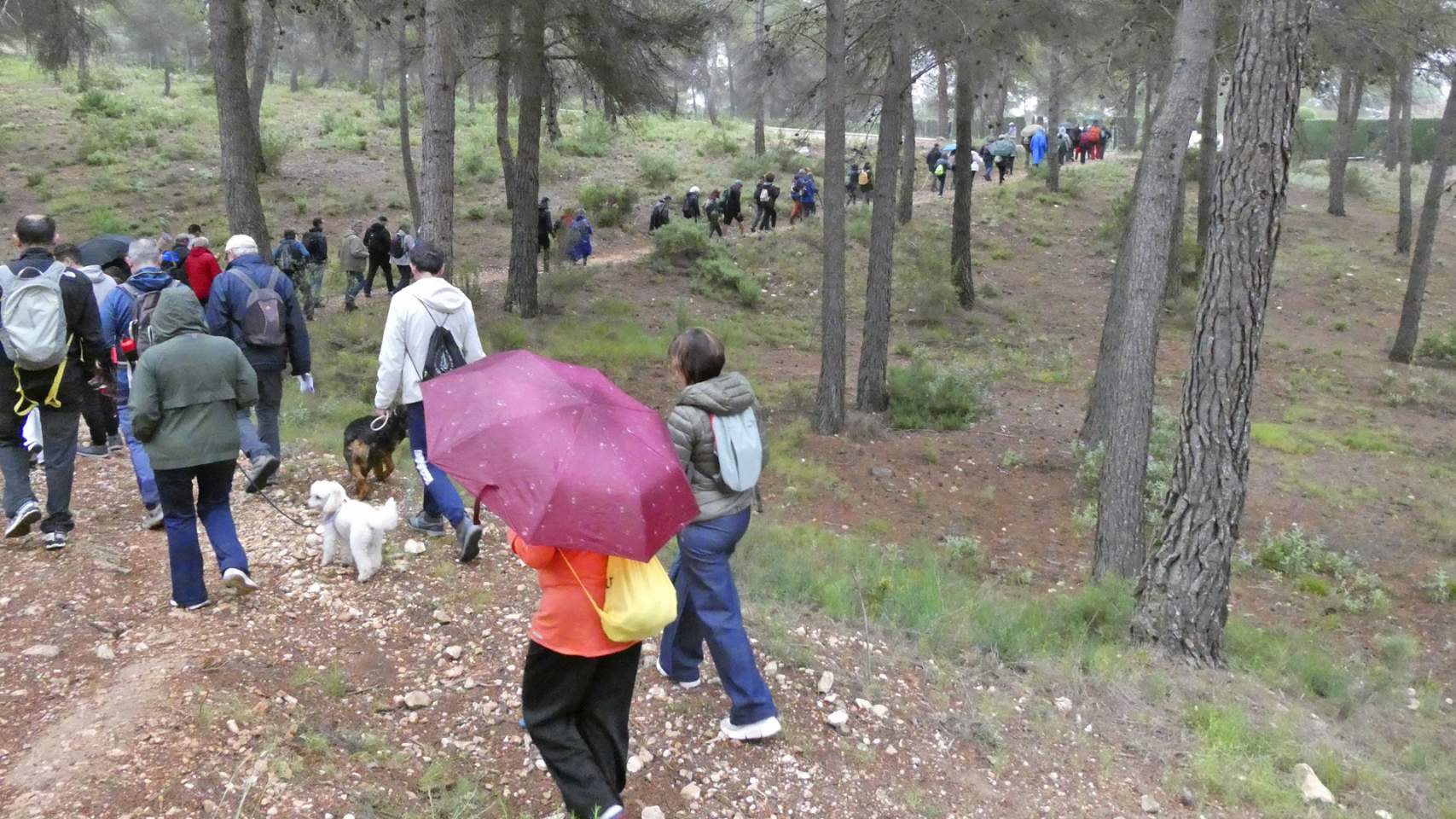 Marxa ciutadana entre Ibi i Alcoi