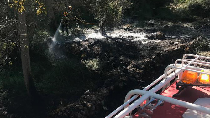 El fuego ha afectado a una zona de chopos / Foto Bomberos La Montaña