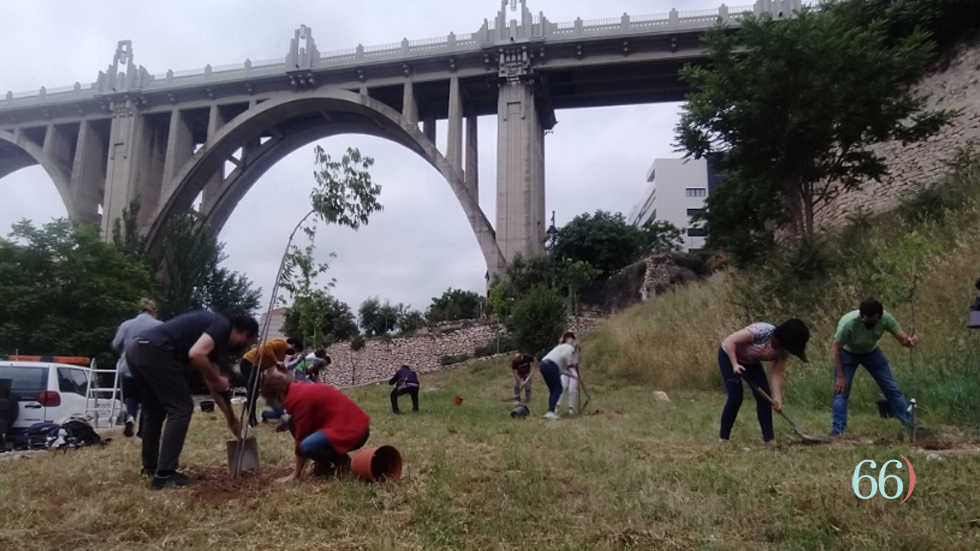 Foto: Shakila Bod&iacute; Gisbert