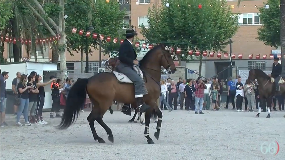 VI edició de la Fira Andalusa a Alcoi 2019 // Foto: Arxiu Pagina66)