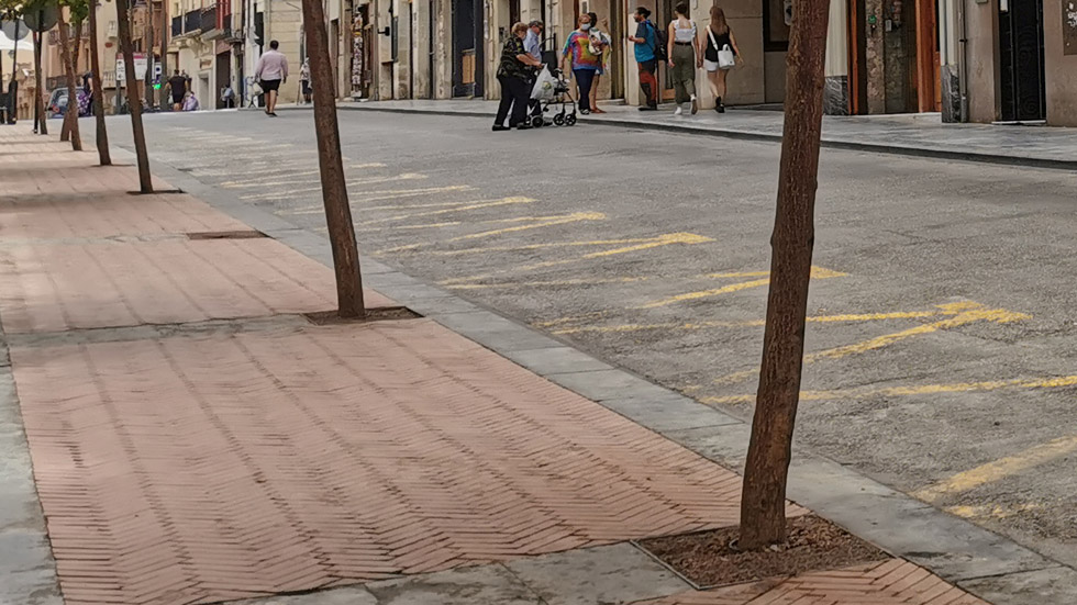 Alcorques en árboles de Sant Llorenç