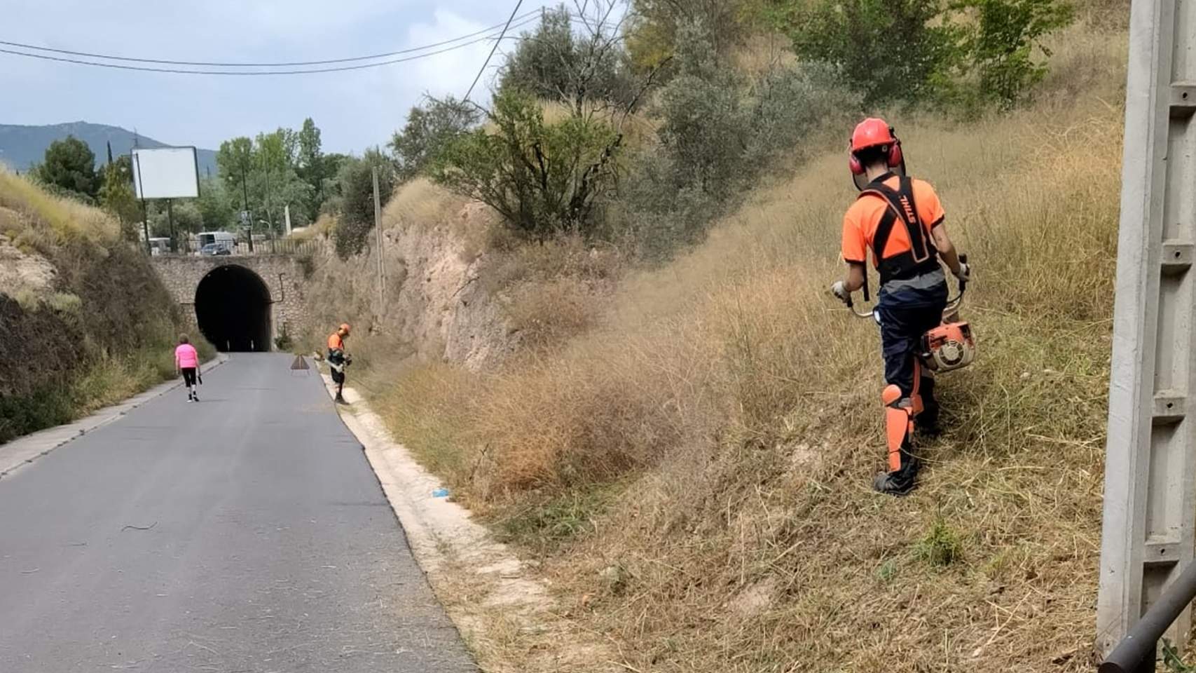 Tares de desbroce en Mestre Ribera Montes