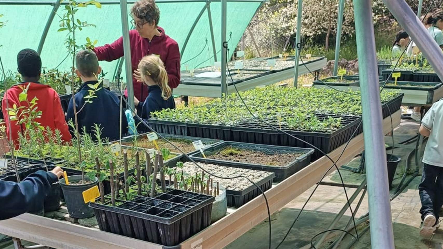 Activitat d'educació ambiental
