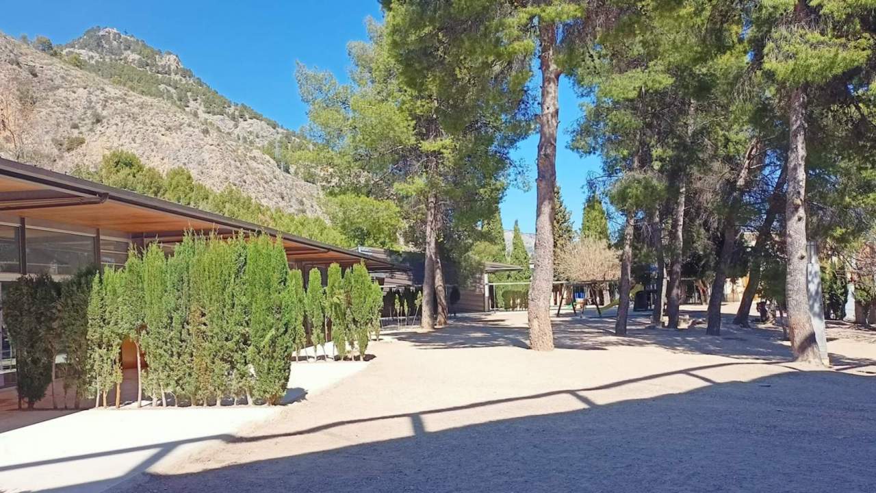 Pati en El Romeral