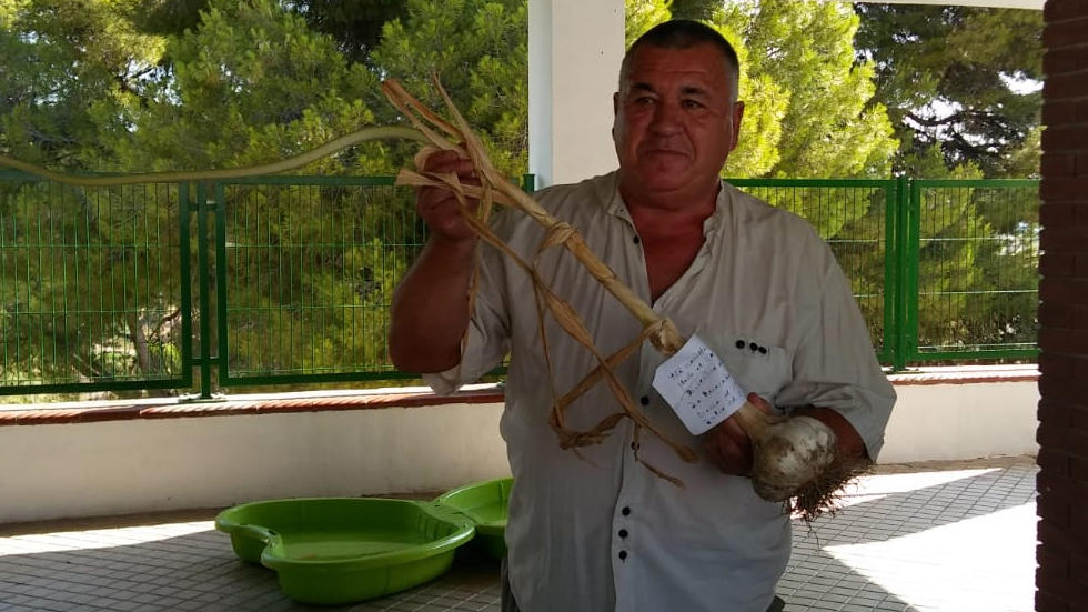 Pascual Rey con su ajo ganador