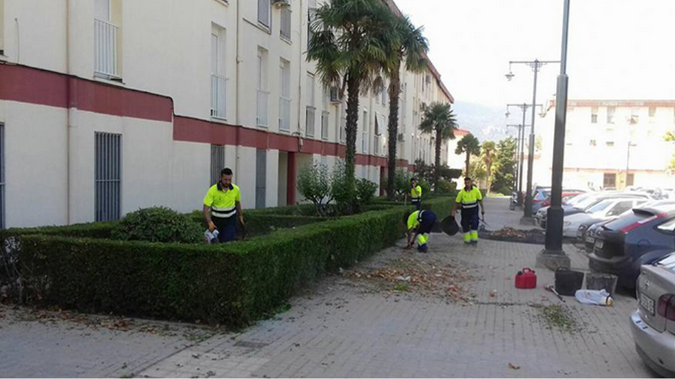 Oficiales de jardinería de 'Avalem Experiència' de 2018