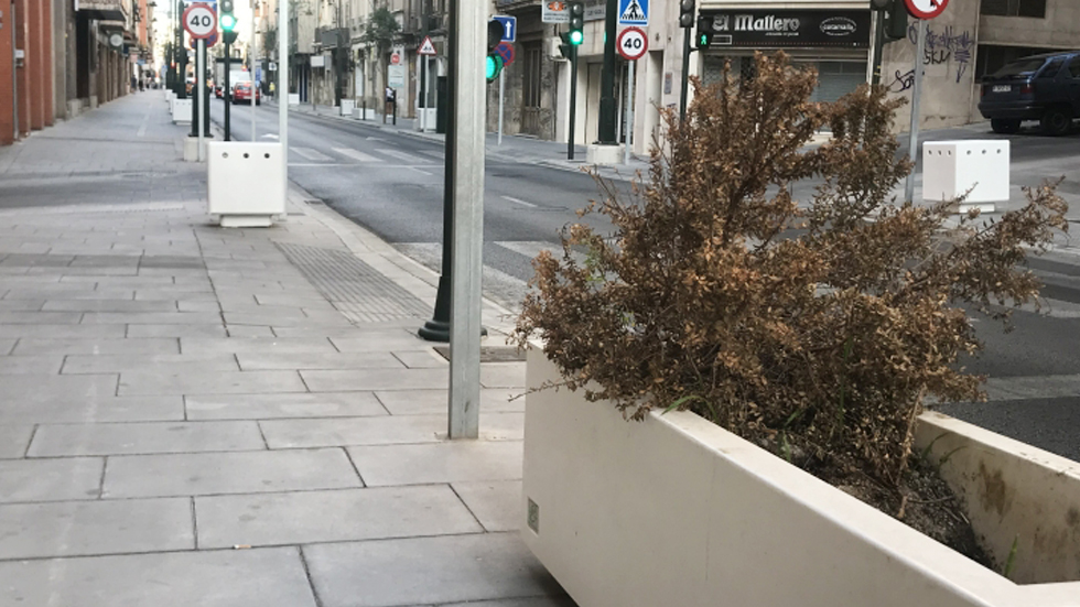 Imagen de una de los maceteros de Entenza / Foto: Partido Popular