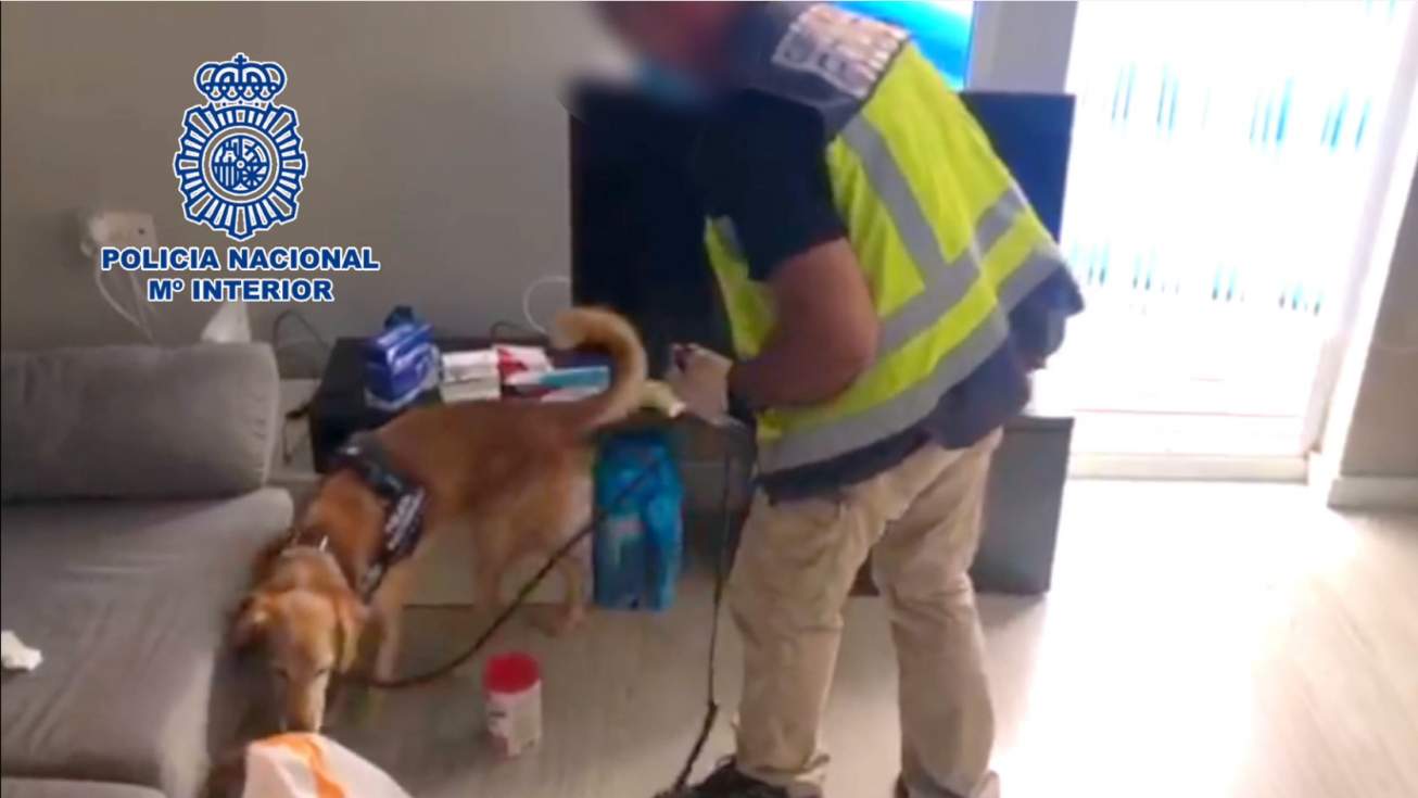 En el registro ha intervenido Unidad de Guías Caninos de la Comisaría Provincial