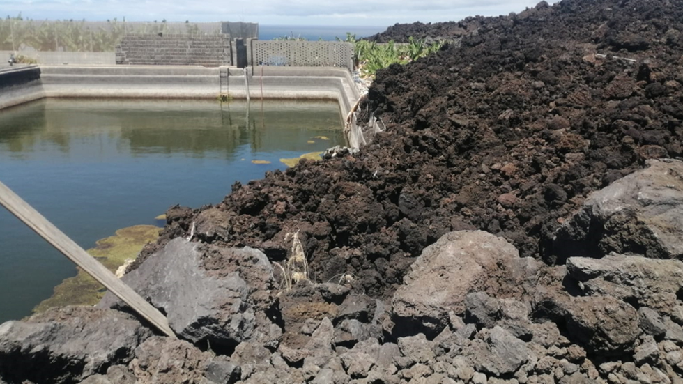 Amigos de la Música visita La Palma  /Foto: Amigos de la Música