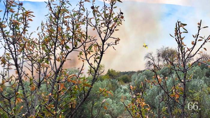El foc vist des d'un cultiu pròxim a Ares / Foto VAA