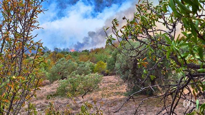 Una part de les flames de l'incendi forestal  / Foto VAA