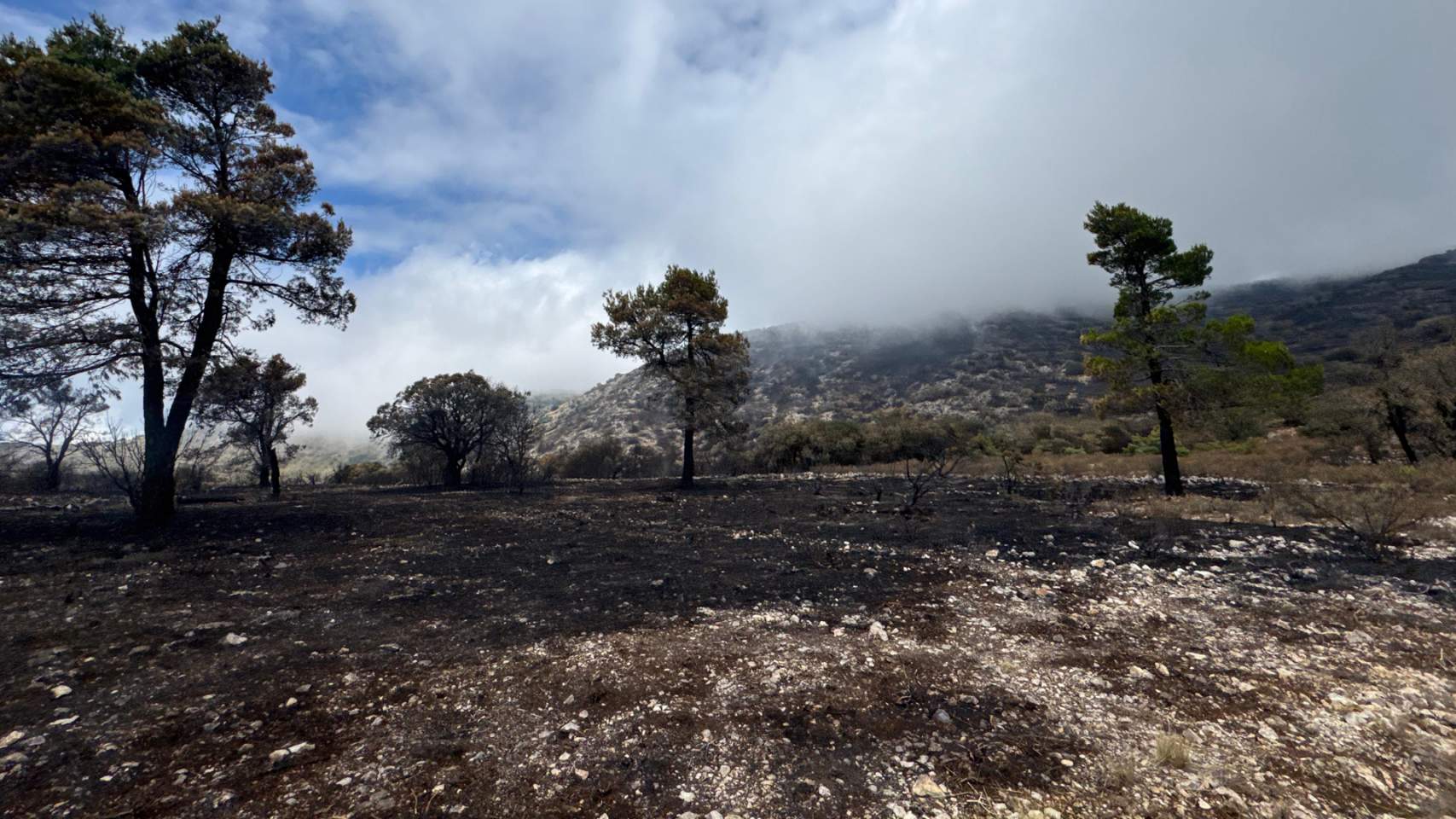 Zona quemada en la Font Roja