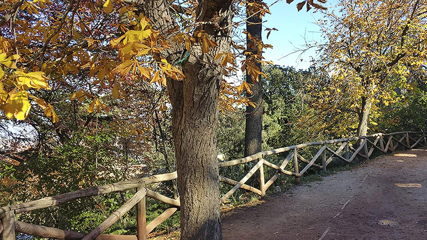 La Generalitat prohibeix l’accés als parcs naturals de la Font Roja i la Serra de Mariola durant quatre dies