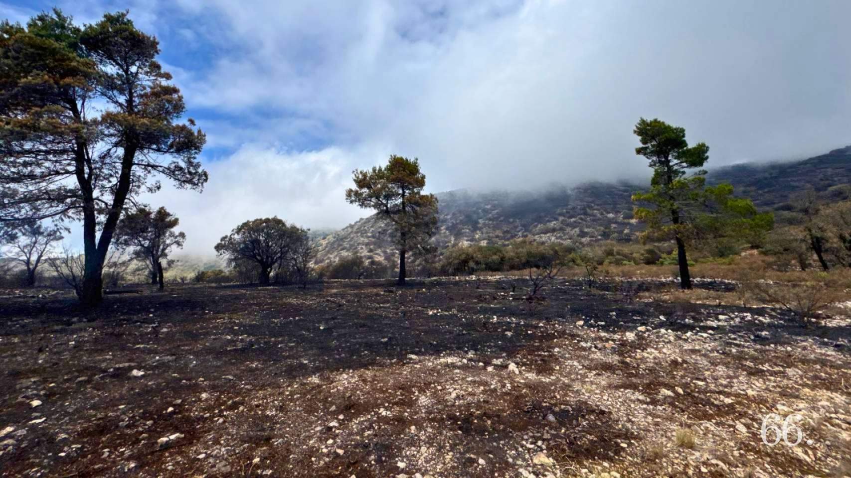 Incendi en la Font Roja en 2025 / Foto: ArxP66