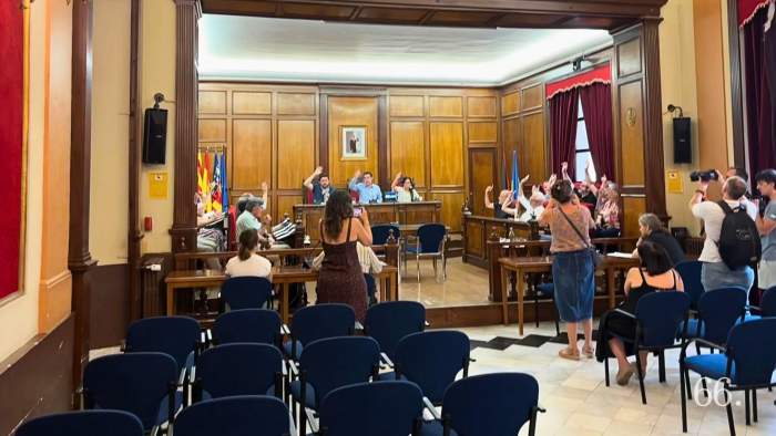 Moment de la votaci&oacute; en el ple / Foto AGC
