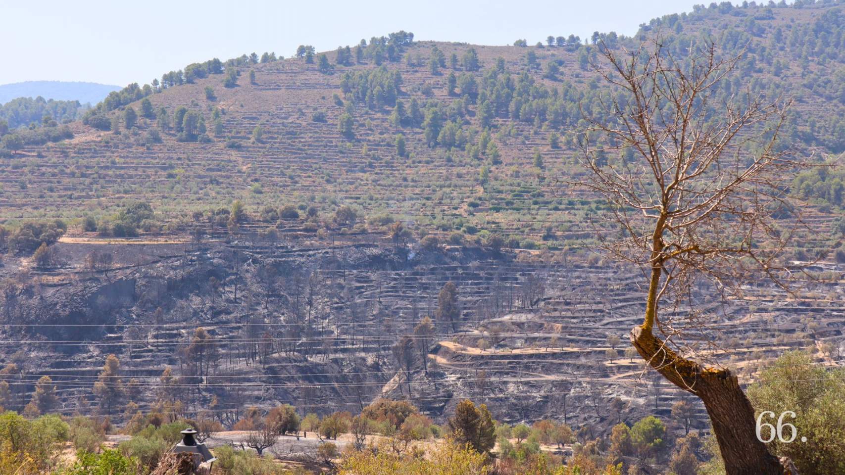 Zona afectada per l'incendi