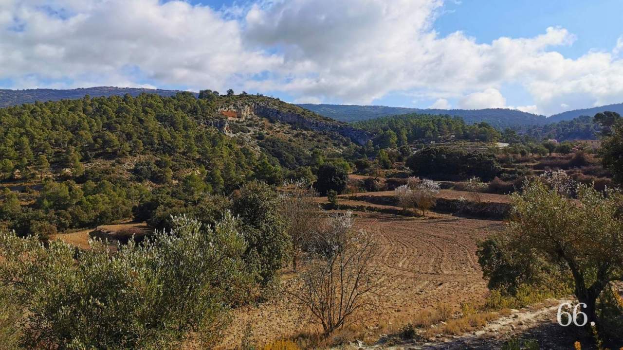 La Generalitat reitera la possibilitat d’un polígon en La Canal amb 200.000 euros per a documents vinculats al projecte