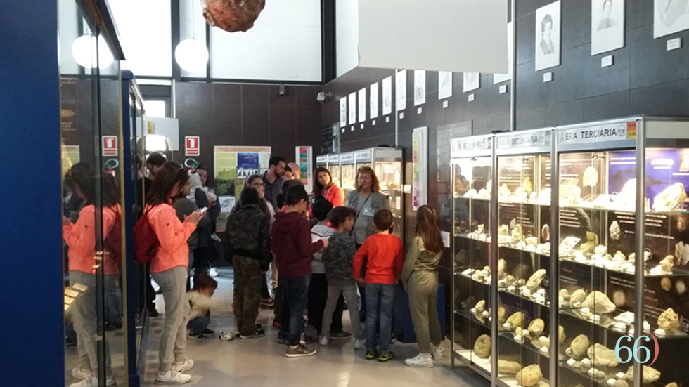 Col·lecció Isurus // Foto: Arxiu Pàgina66)