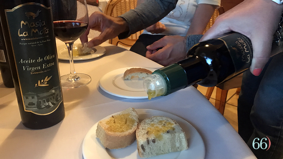 Aceite de oliva virgen extra Masía La Mota