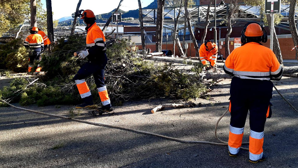 Brigada forestal del programa Avalem