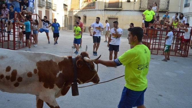 Vaquetes a Gorga / Foto: Arxiu