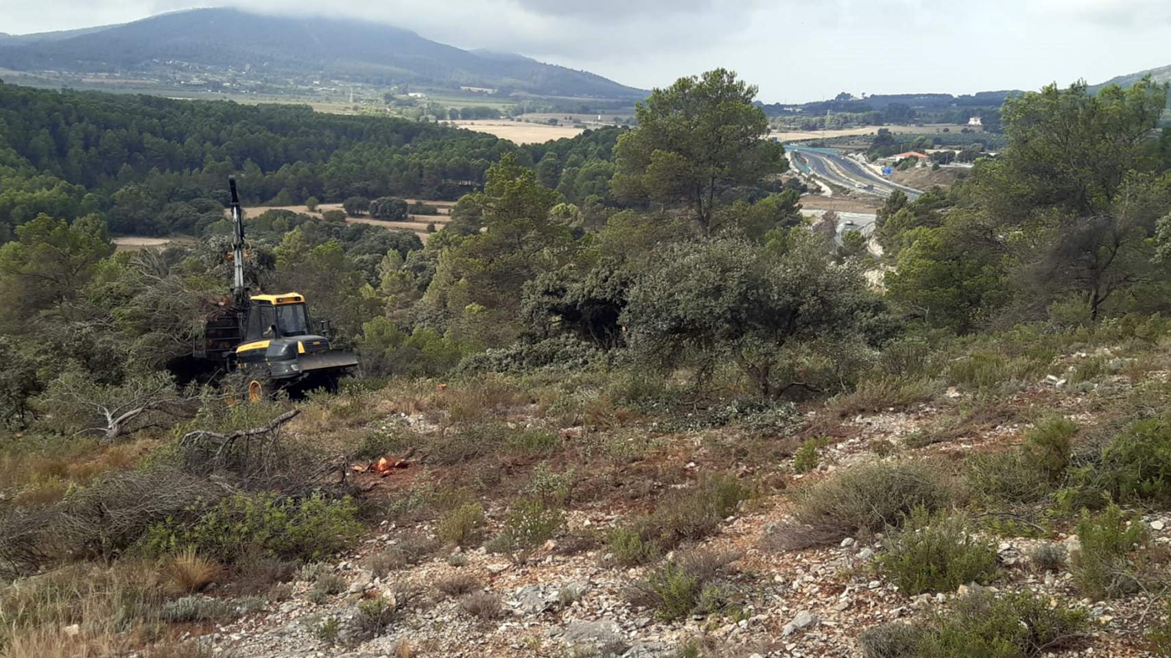 Zona de trabajos del cortafuegos / Foto: Ayuntamiento Alcoy