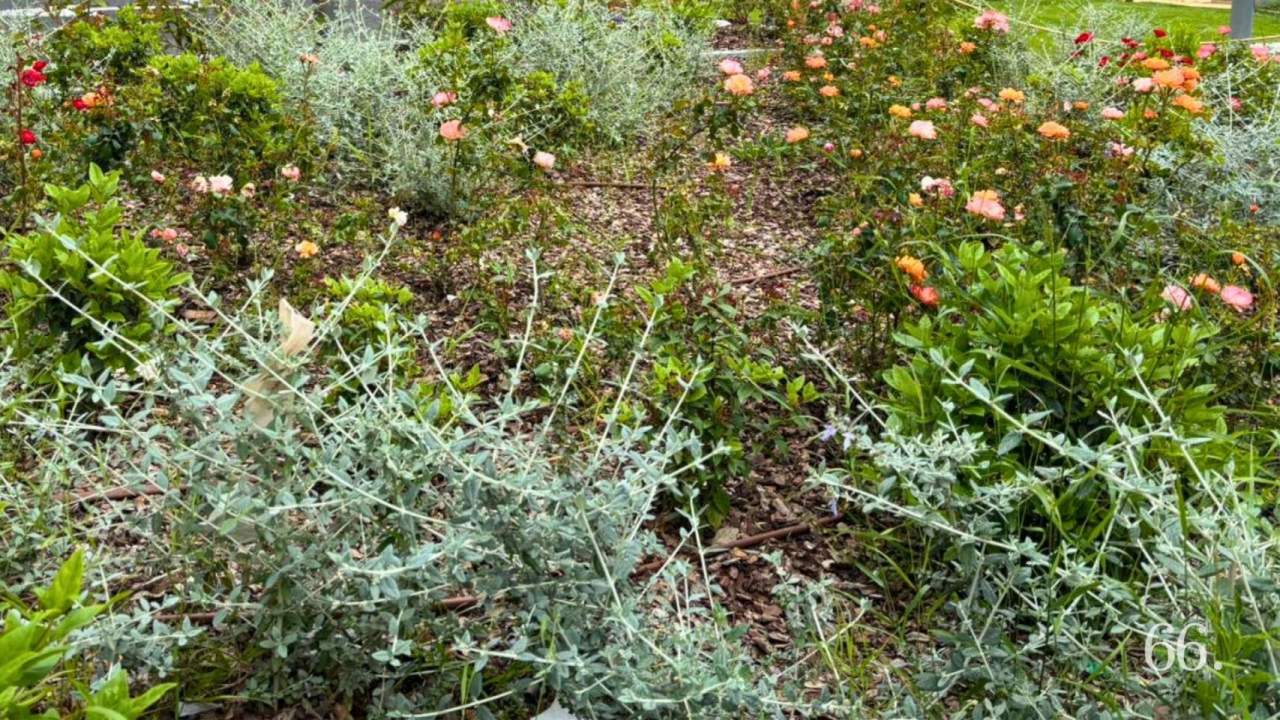Jardins a Alcoi