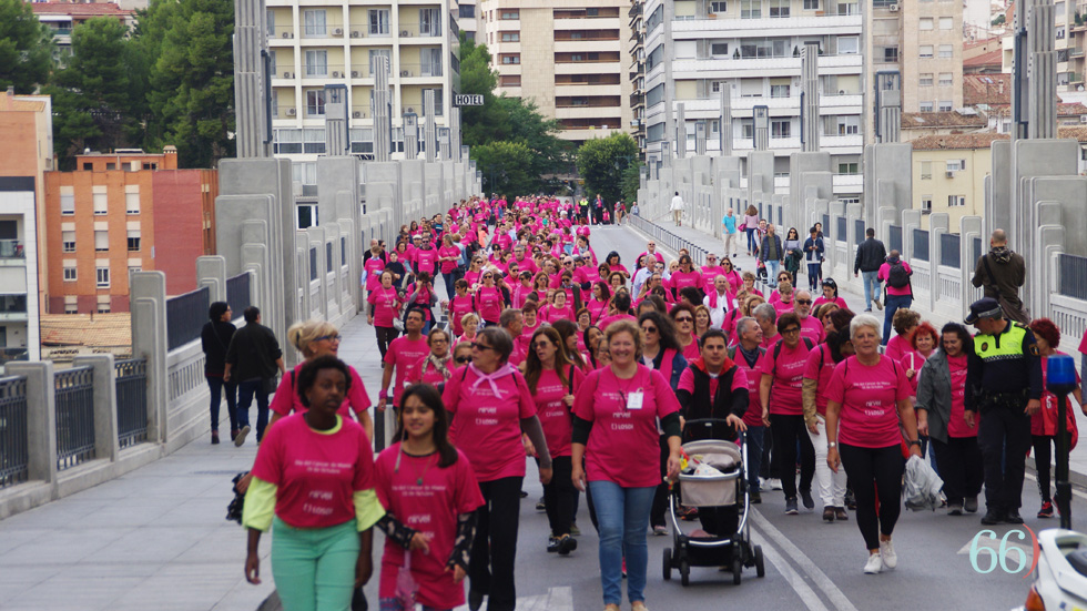 Participants en la 'Marea Rosa' al seu pas pel pont de Sant Jordi