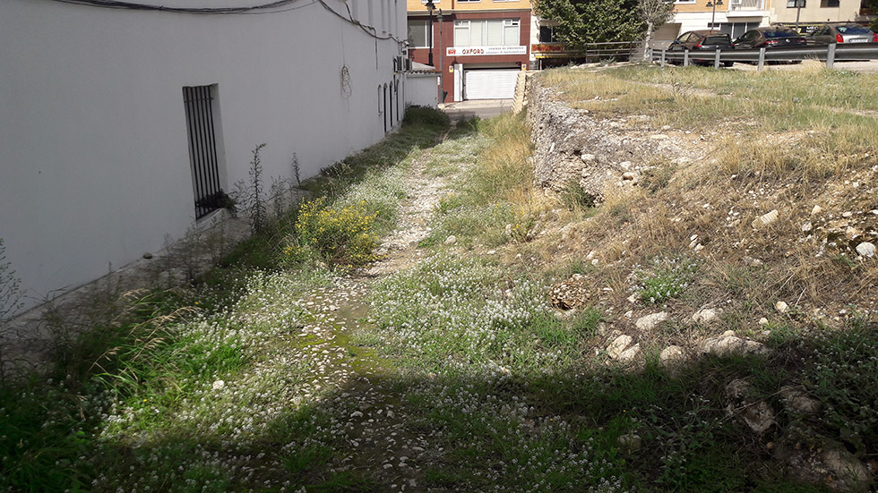 Malas hierbas junto al cuartel