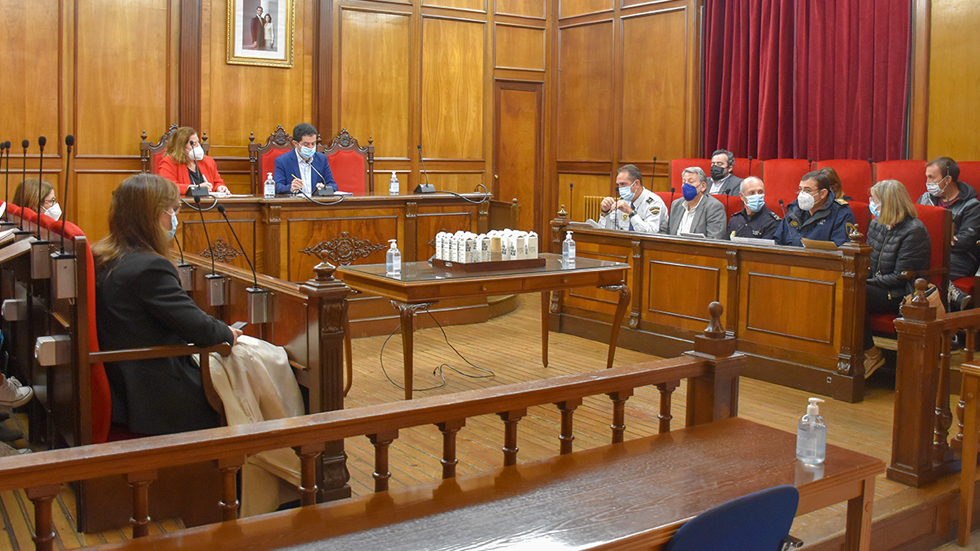 Reunión de Viogen en el Salón de Plenos