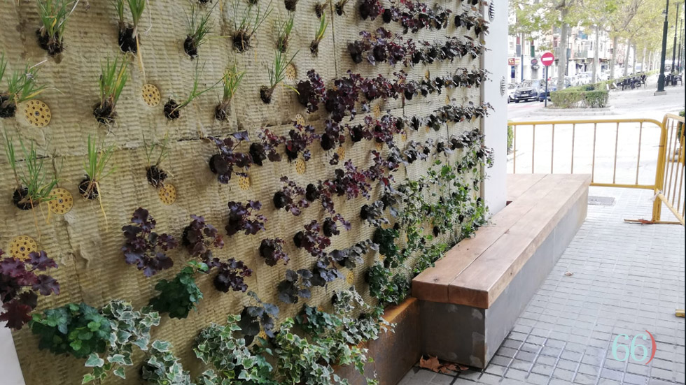 Urban biofilter en la Avenida Hispanitat // Foto: CGC