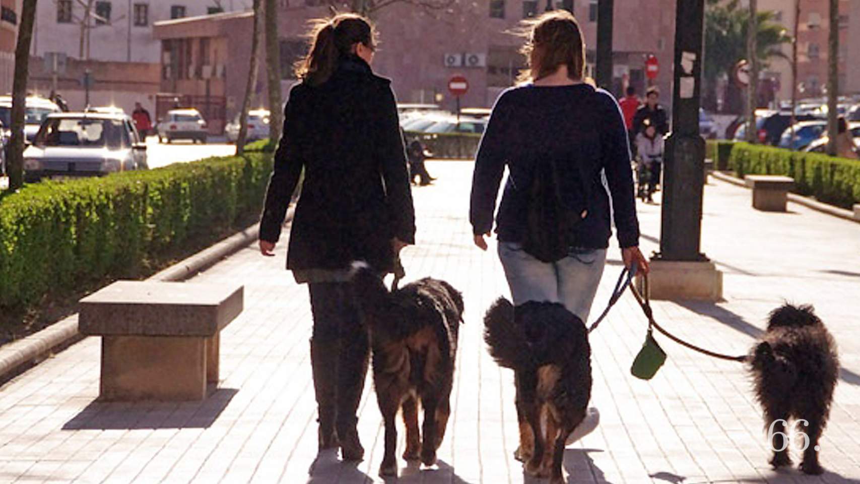 La Fira de Benestar Animal tindr&agrave; lloc el dissabte 19 d'octubre