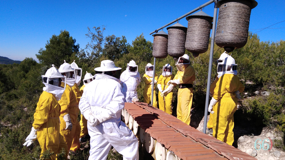 Ecoexperiència apícola amb Salvador Andrés / Foto: Pagina66)