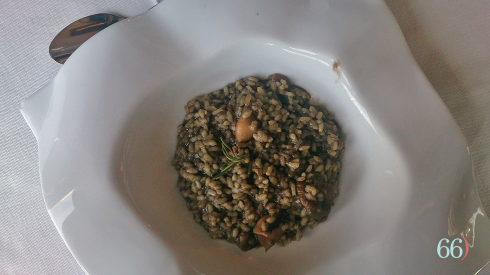 Arroz d ela zona / Foto: Archivo Pagina66)